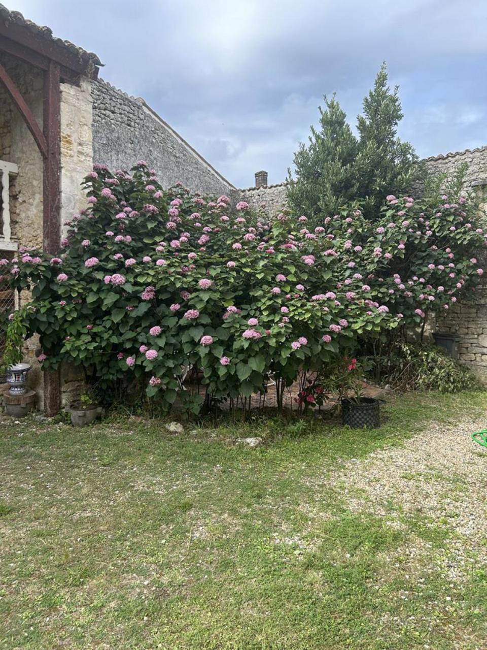 Chambres Et Table D'Hotes Maison Garesche Nieulle-sur-Seudre Eksteriør bilde